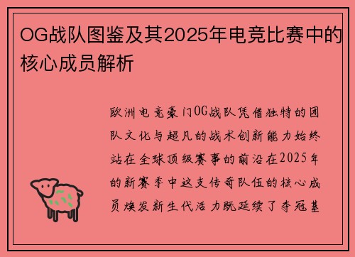 OG战队图鉴及其2025年电竞比赛中的核心成员解析